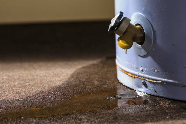 Best Water damage contractors near me  in London, OH