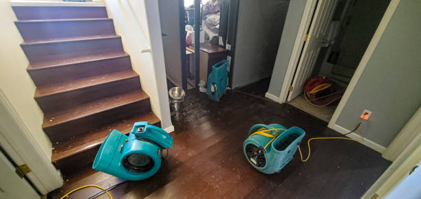 Best Ceiling water damage repair  in London, OH