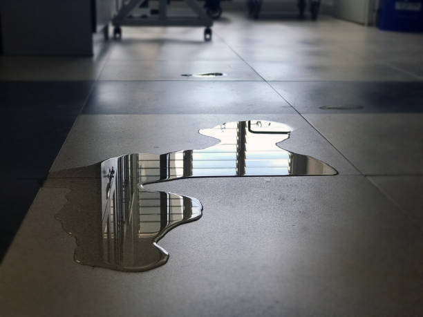 Best 24/7 water damage repair  in London, OH