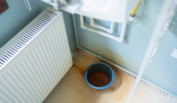 Best Professional water damage repair  in London, OH