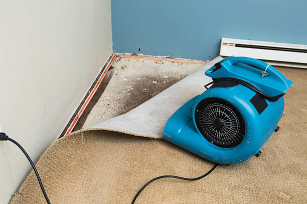 Best Flooded house restoration  in London, OH
